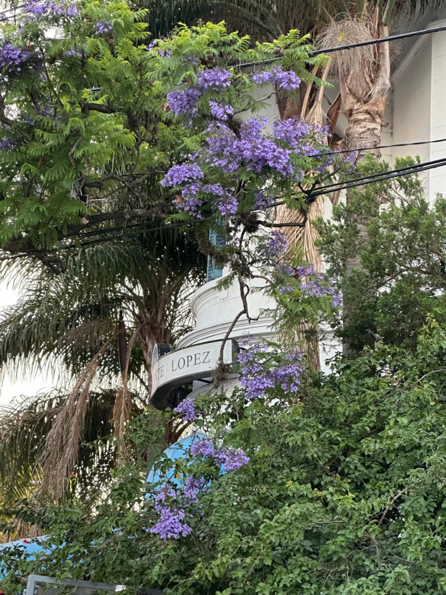 Hotel Vicente López Esterno foto