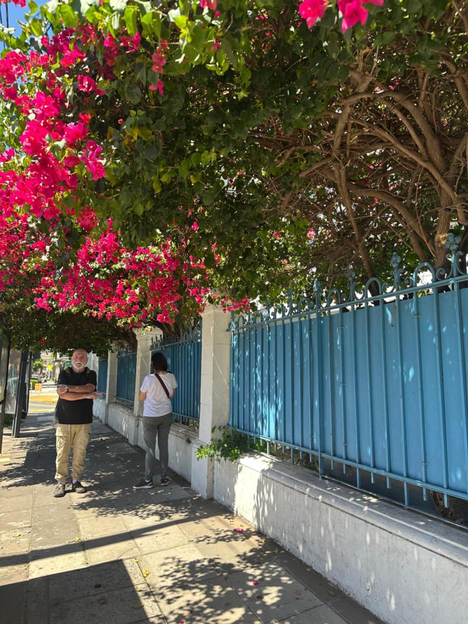 Hotel Vicente López Esterno foto